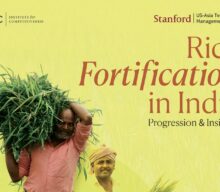 Report on Rice Fortification in India:Progression and Insights