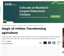 The Magic of Millets: Transforming Agriculture 