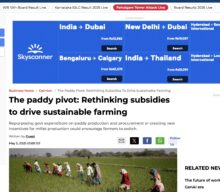 The Paddy Pivot: A Step Towards Sustainable Agriculture in India
